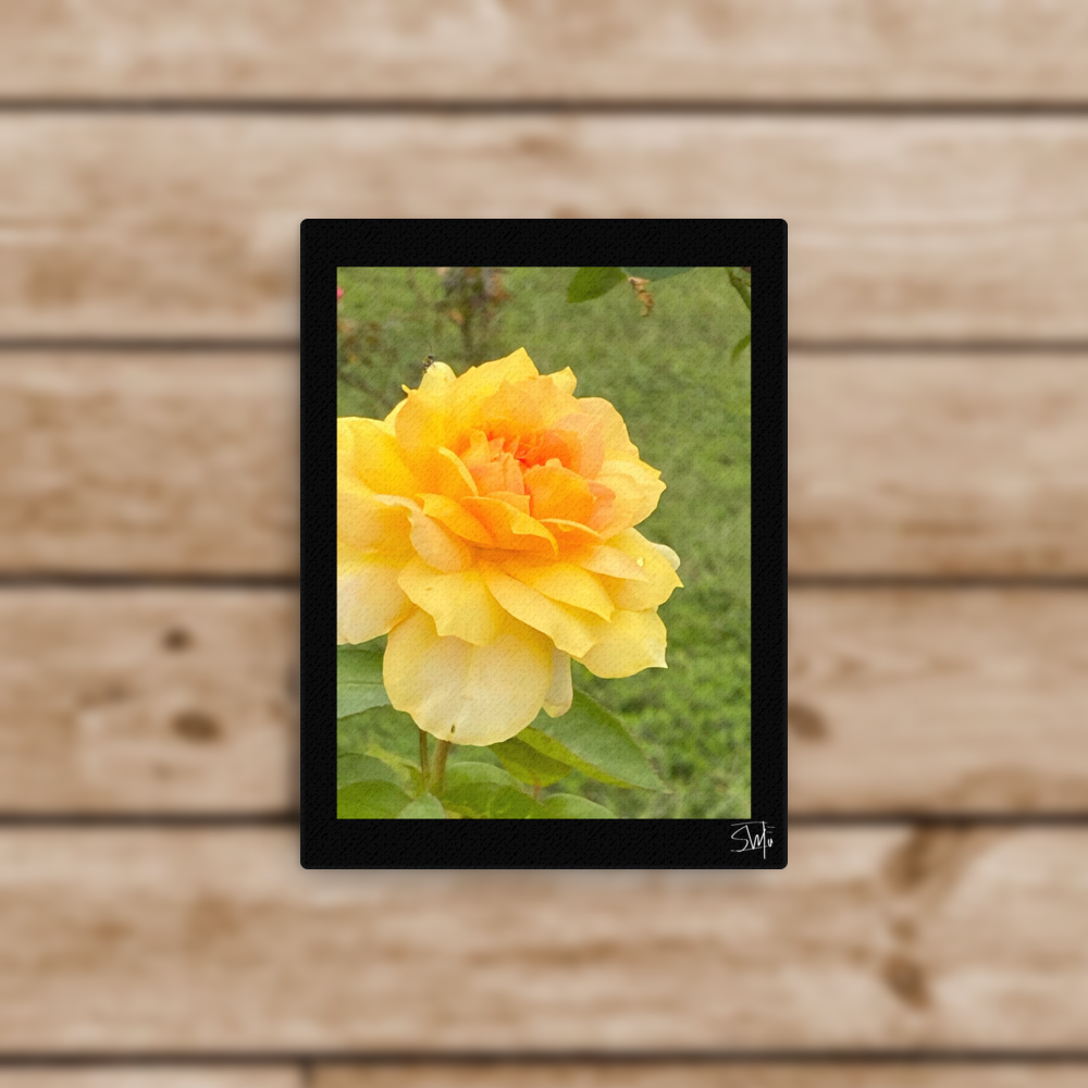 Yellow Flower thin canvas art print with bright yellow bloom on slim black frame, 0.75″ thick, built-in wall mounts and rubber pads—part of floral thin canvas collection for stylish home decor.