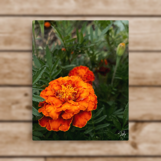 A canvas print featuring a close-up image of an orange flower with a green background, signed by Sarah.