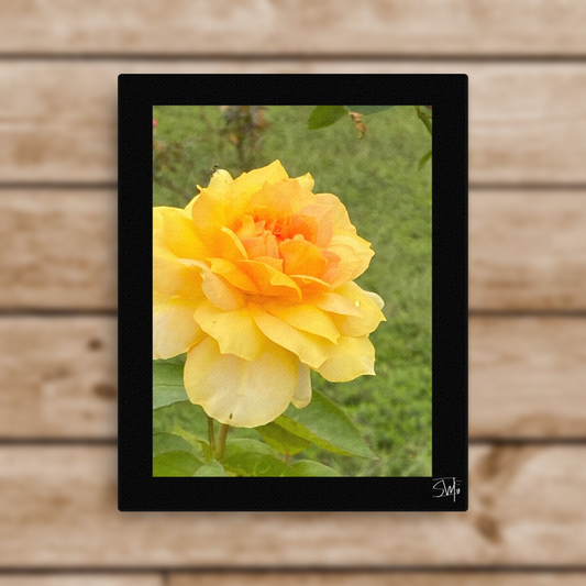 A canvas print featuring a yellow flower with a black frame, placed on a wooden surface.