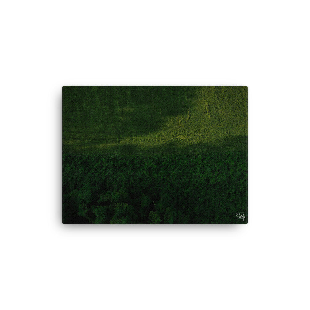 A canvas print featuring a green landscape with trees.