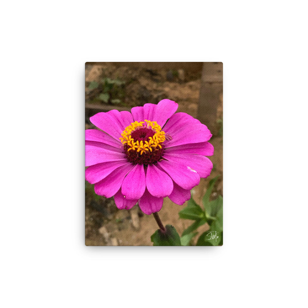 A canvas print featuring a purple flower with a yellow center, attached to wall mounts with rubber pads on the back.