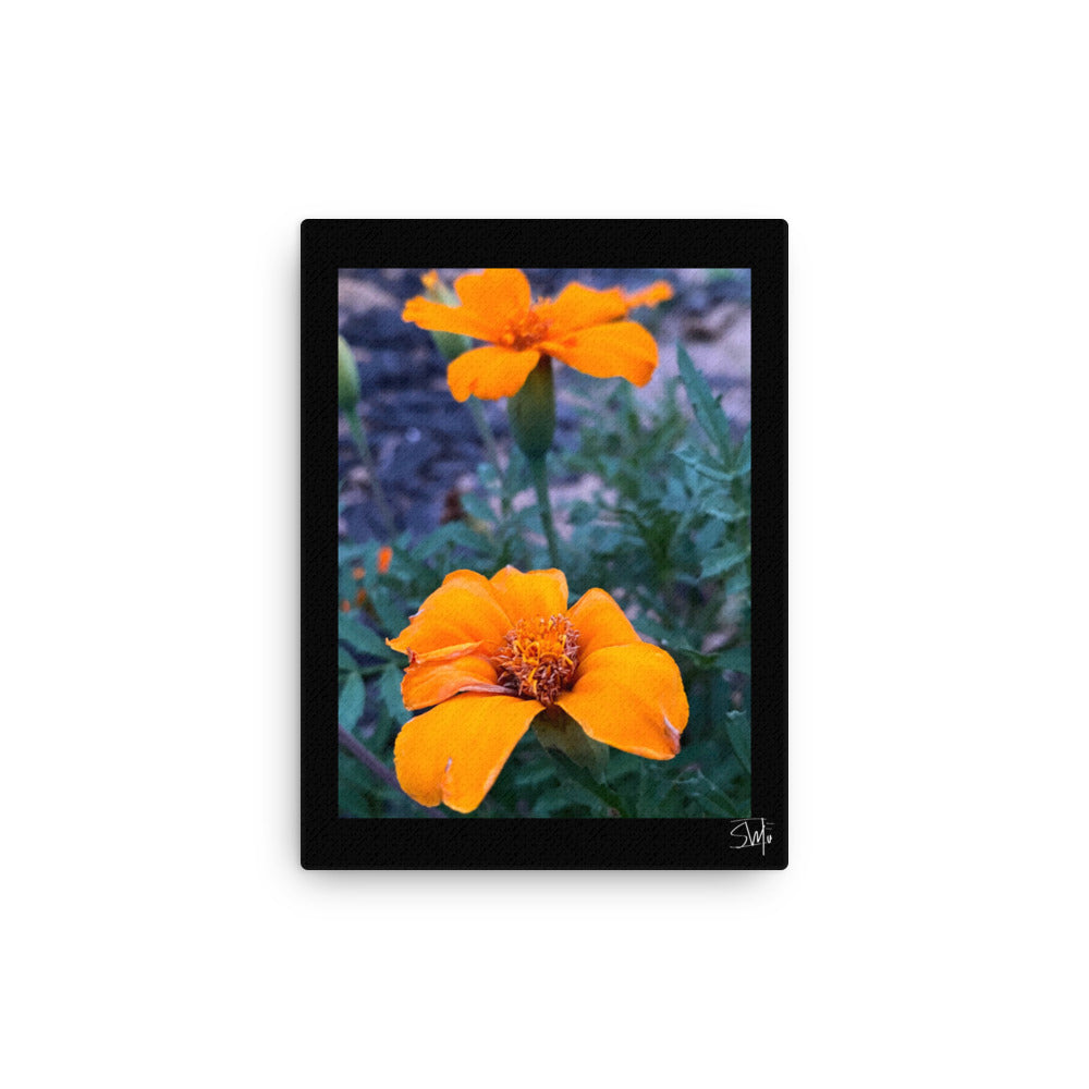 A canvas print featuring two orange flowers with a black frame, placed against a white wall,