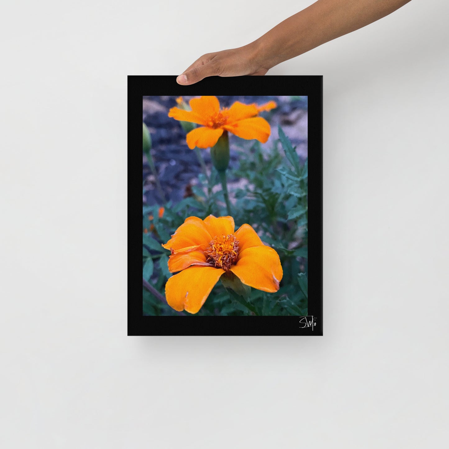 person holding a canvas print featuring two orange flowers with a black frame, placed against a white wall,
