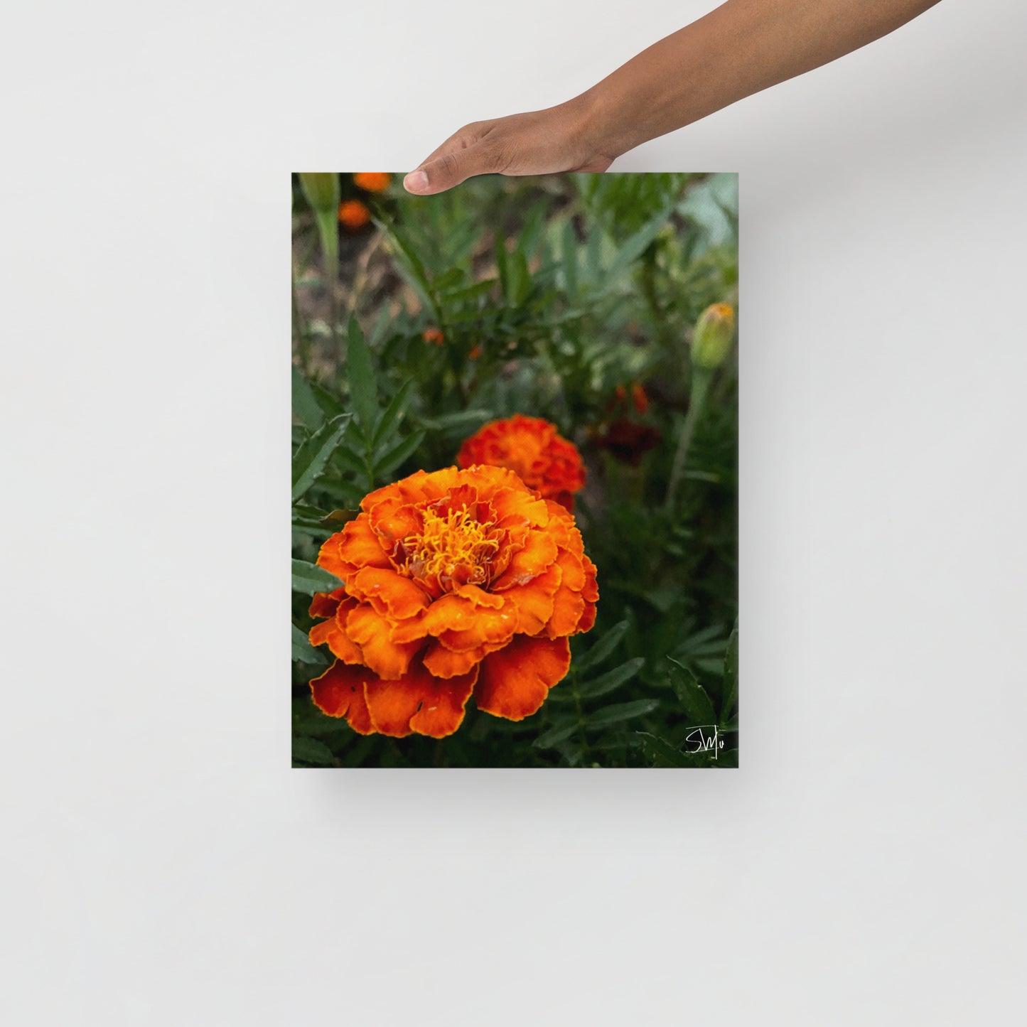 person holding Orange Flower thin canvas art print with two bright orange blooms on a slim 0.75″ black frame, featuring built-in wall mounts and rubber pads—part of a coordinated 4‑piece floral thin canvas collection for chic home decor.