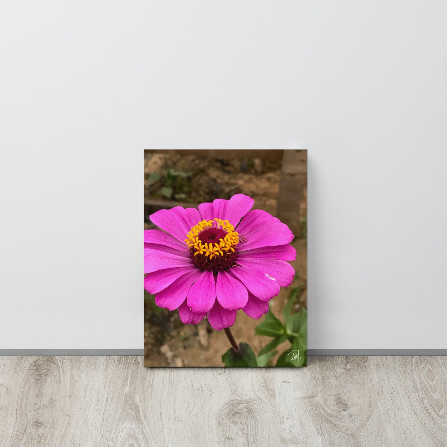 Purple Flower thin canvas featuring a vivid purple bloom on a sleek 0.75″ slim frame, with built‑in wall mounts and protective rubber pads—part of a four-piece floral thin canvas collection for chic home decor.
