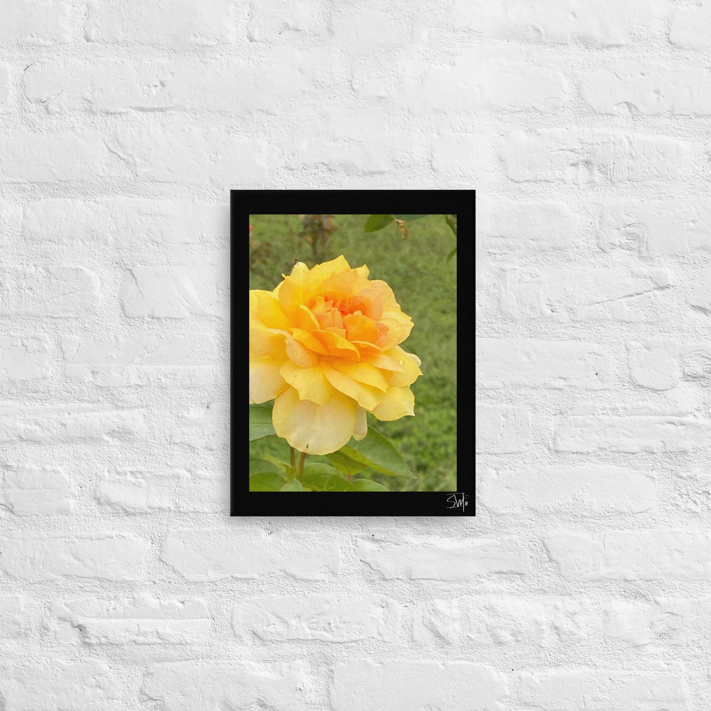 "Yellow Flower" Thin canvas