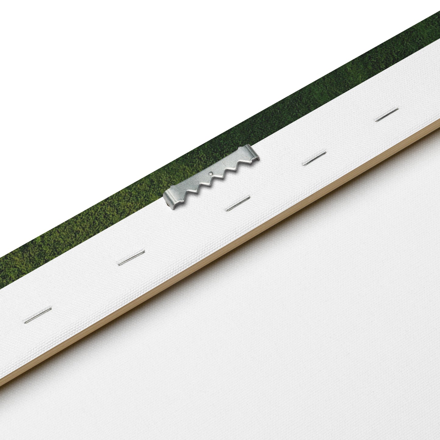 back of A canvas print featuring a green landscape with trees.