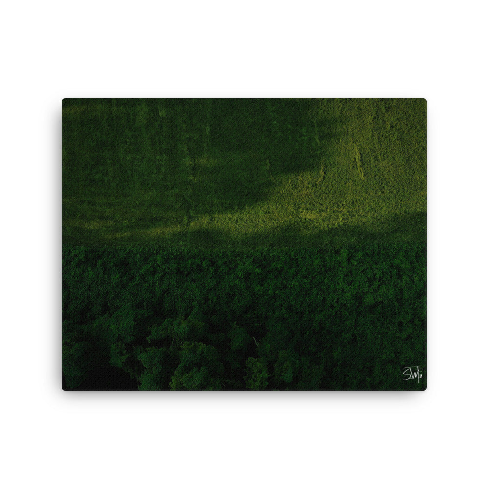A canvas print featuring a green landscape with trees.