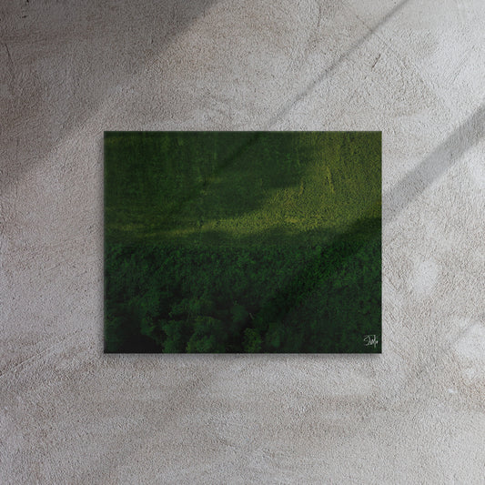 A canvas painting featuring a green and brown landscape, thin and with built-in wall mounts.