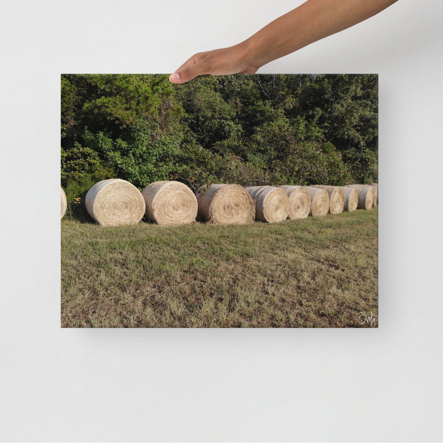 person holding A canvas print featuring a rural landscape with a row of hay bales.