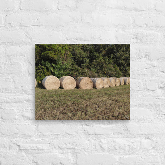 A canvas print featuring a field of hay bales under a clear sky, displayed on a white wall.