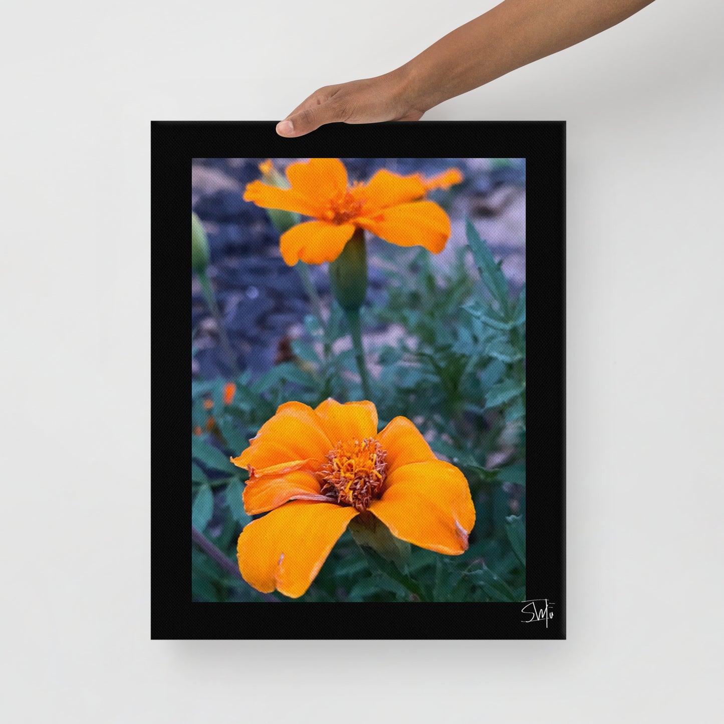 person holding a canvas print featuring two orange flowers with a black frame, placed against a white wall,