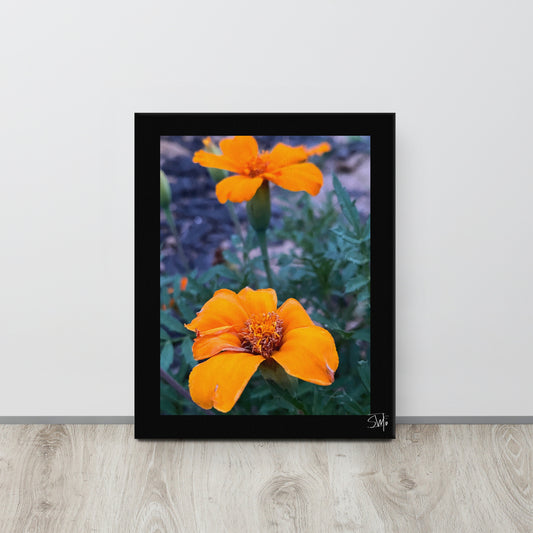 A canvas print featuring two orange flowers with a black frame, placed against a white wall on a wooden floor.