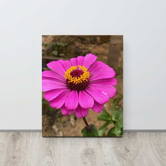 A canvas print featuring a vibrant purple flower with a yellow center, displayed against a white wall on a wooden floor.