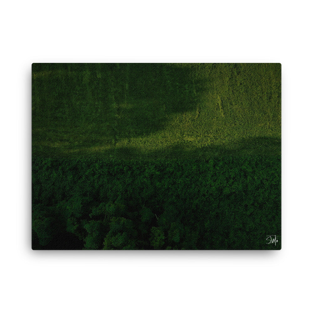 A canvas print featuring a green landscape with trees.