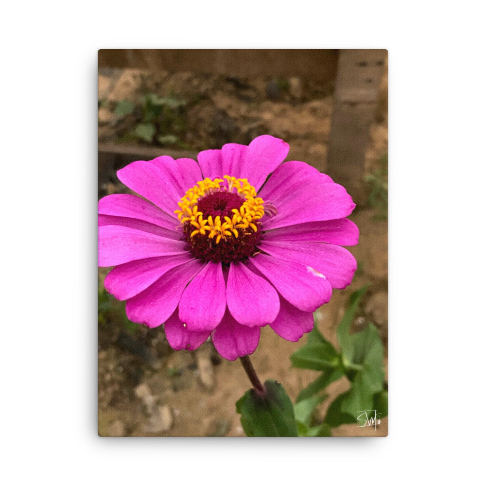 Purple Flower thin canvas featuring a vivid purple bloom on a sleek 0.75″ slim frame, with built‑in wall mounts and protective rubber pads—part of a four-piece floral thin canvas collection for chic home decor.