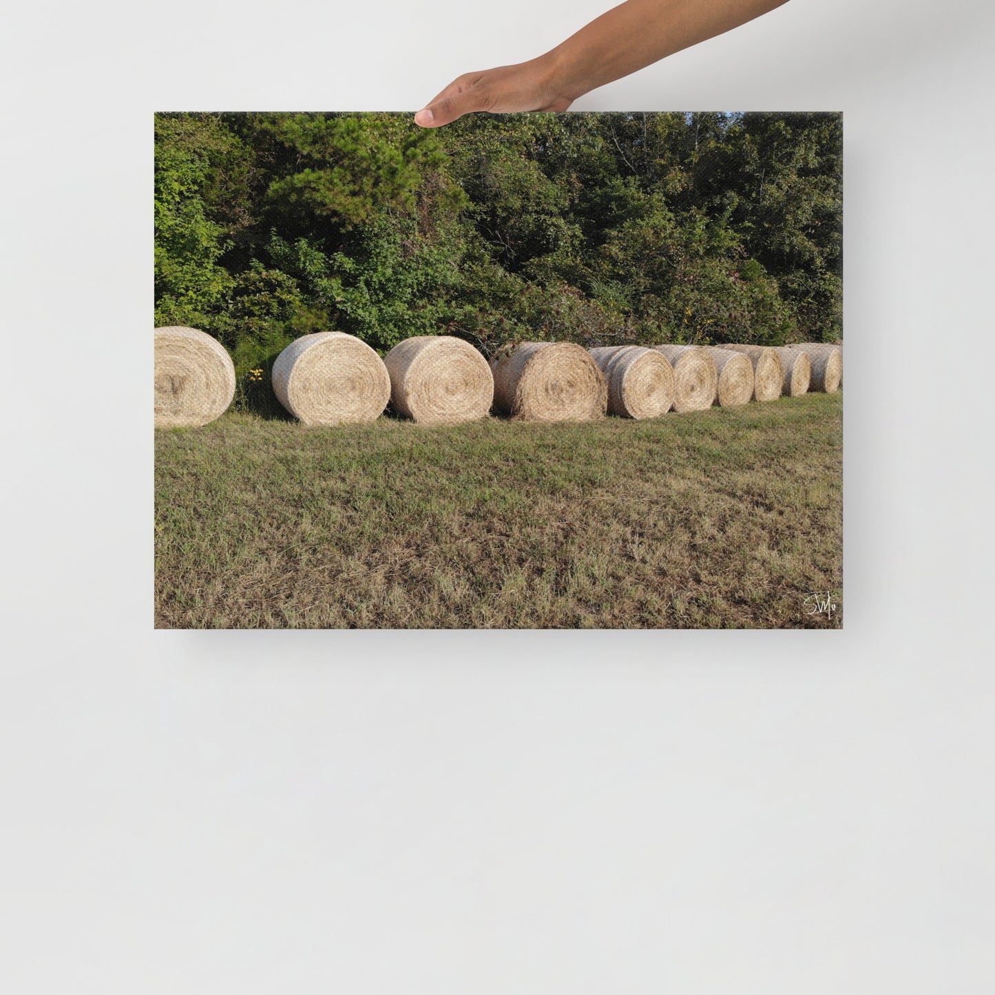 person holding a canvas print featuring a rural landscape with a row of hay bales.