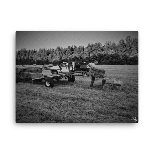 "Hay Fever" Thin canvas