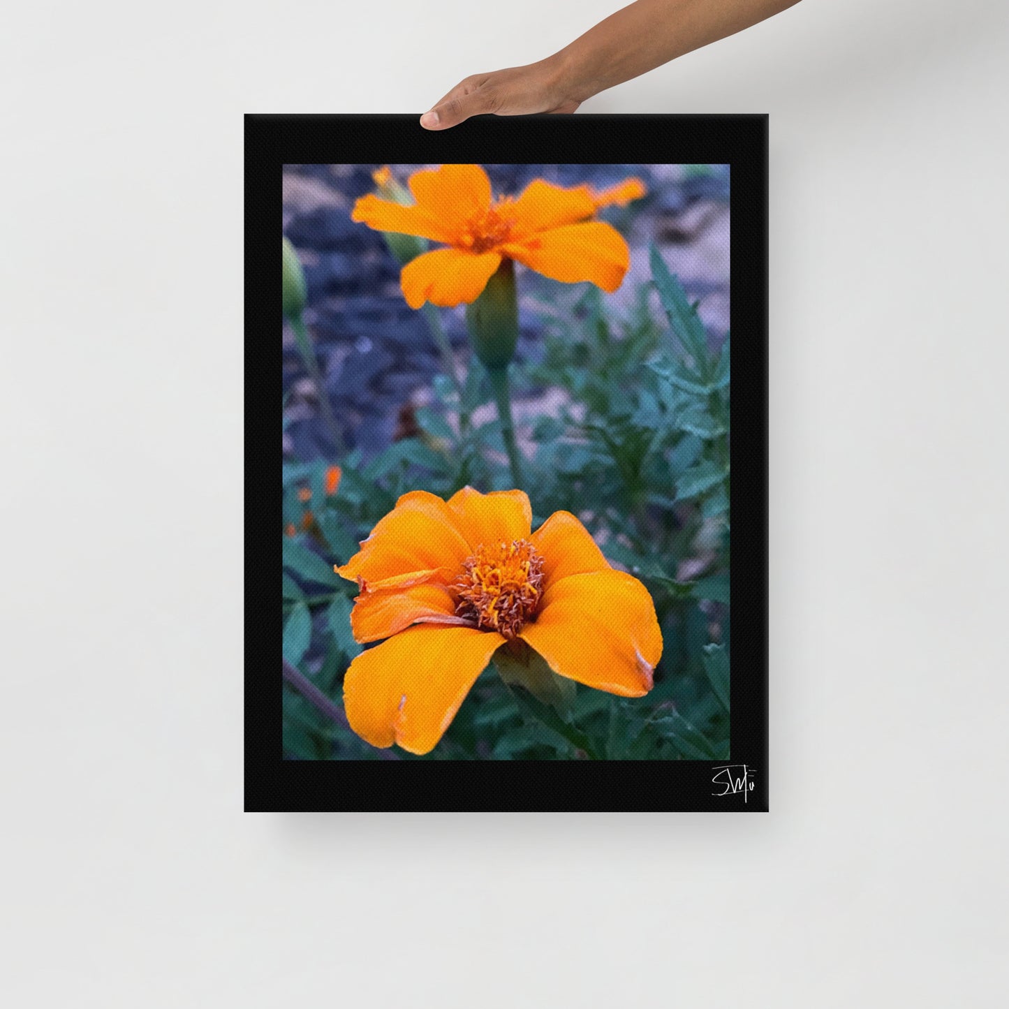person holding a canvas print featuring two orange flowers with a black frame, placed against a white wall,