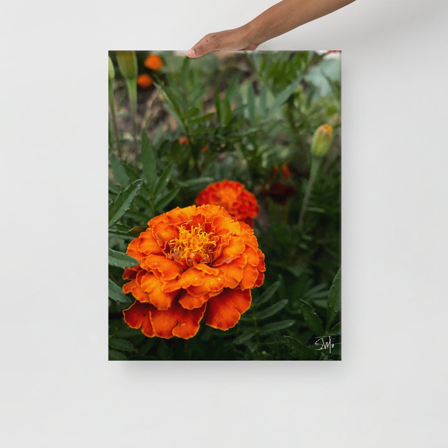 Orange Flower thin canvas art print with two bright orange blooms on a slim 0.75″ black frame, featuring built-in wall mounts and rubber pads—part of a coordinated 4‑piece floral thin canvas collection for chic home decor.