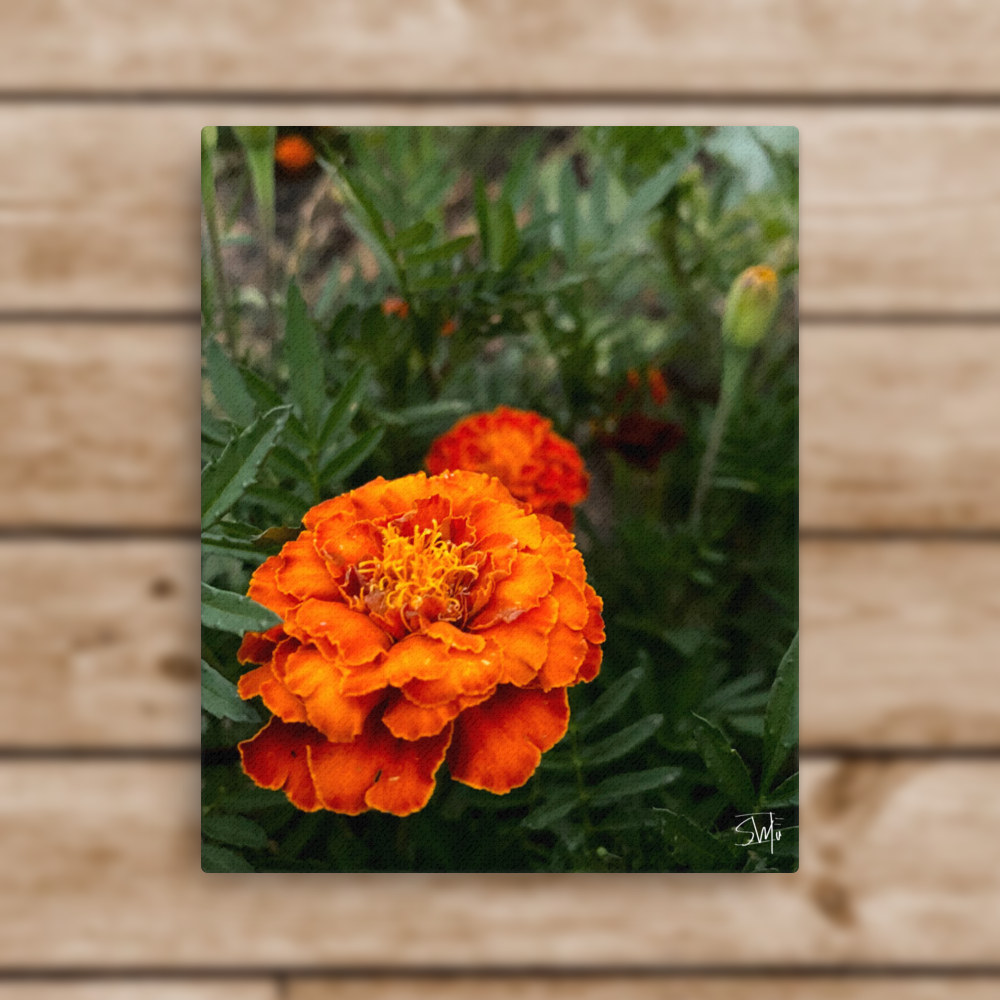 "Orange Flower" Thin canvas