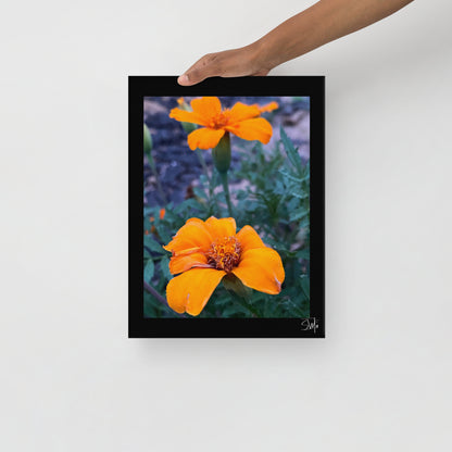 person holding a canvas print featuring two orange flowers with a black frame, placed against a white wall,