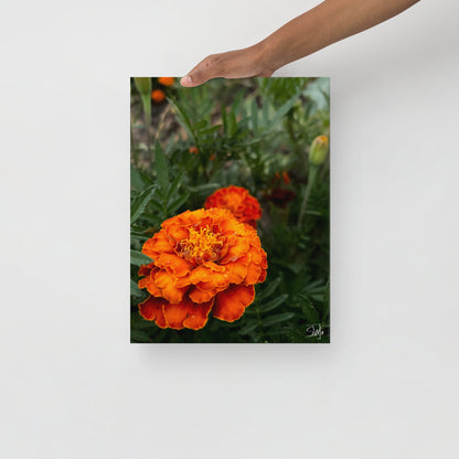 person holding Orange Flower thin canvas art print with two bright orange blooms on a slim 0.75″ black frame, featuring built-in wall mounts and rubber pads—part of a coordinated 4‑piece floral thin canvas collection for chic home decor.