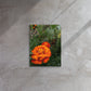 "Orange Flower" Thin canvas