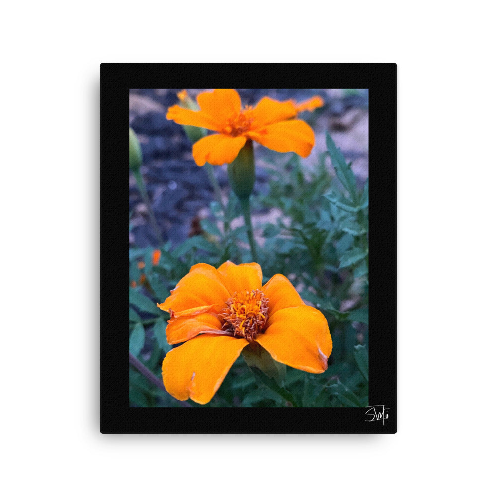 "Orange Flower Ⅱ" Thin canvas