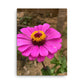Purple Flower thin canvas featuring a vivid purple bloom on a sleek 0.75″ slim frame, with built‑in wall mounts and protective rubber pads—part of a four-piece floral thin canvas collection for chic home decor.