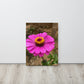 Purple Flower thin canvas featuring a vivid purple bloom on a sleek 0.75″ slim frame, with built‑in wall mounts and protective rubber pads—part of a four-piece floral thin canvas collection for chic home decor.